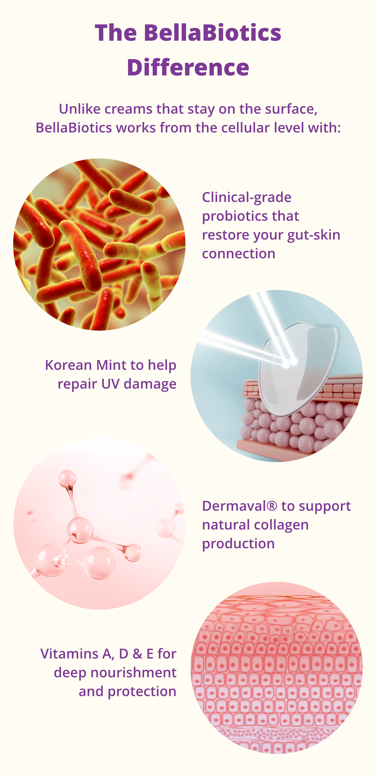 Dr. Kellyann - BellaBiotics