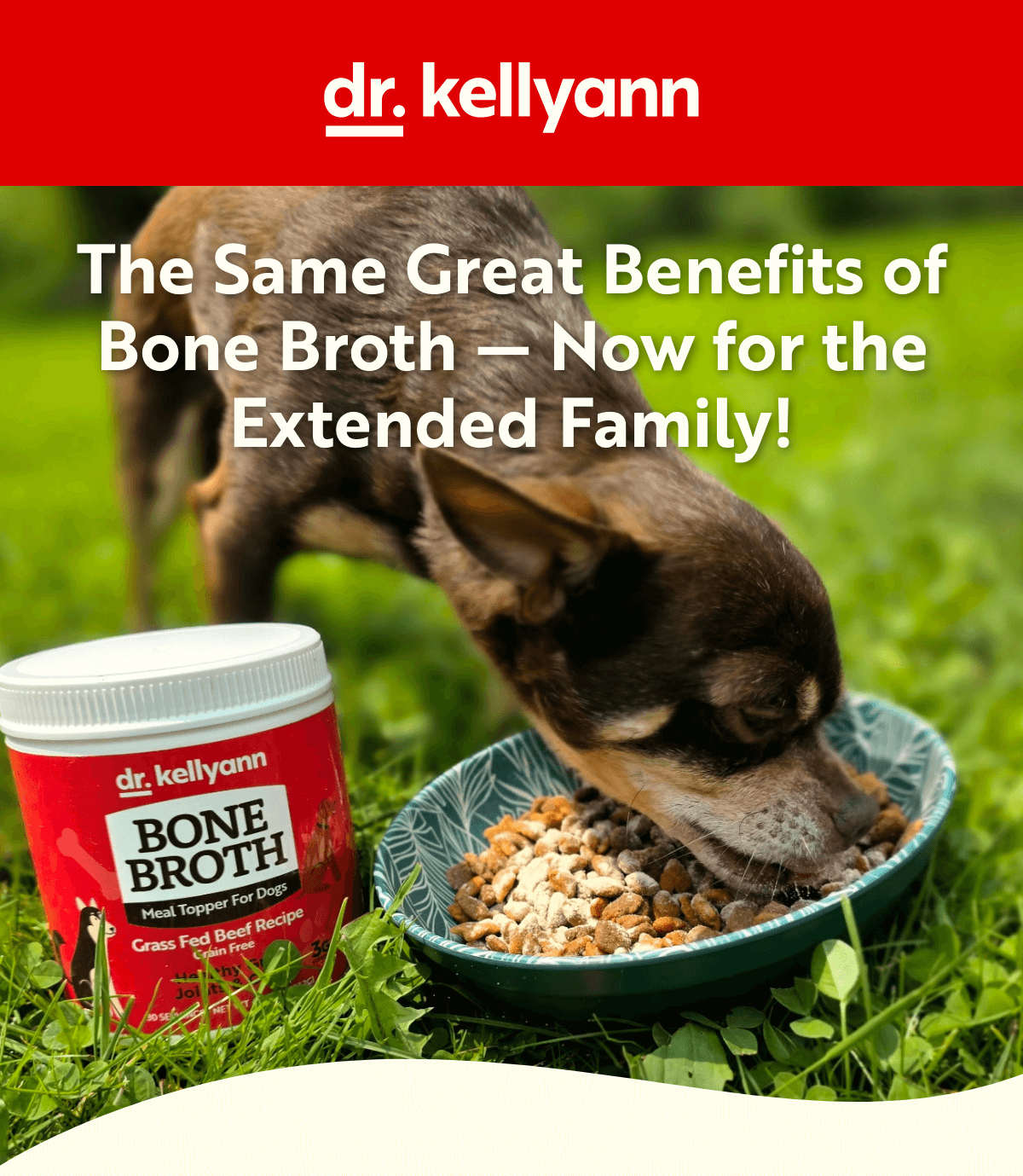 Dr. Kellyann - International Dog Day
