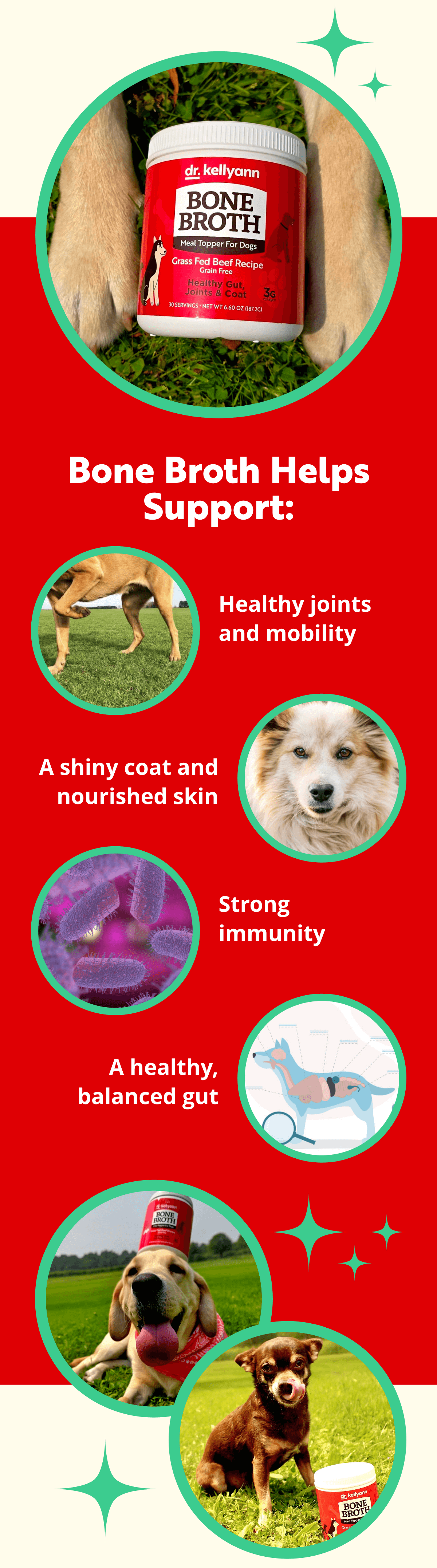Dr. Kellyann - International Dog Day
