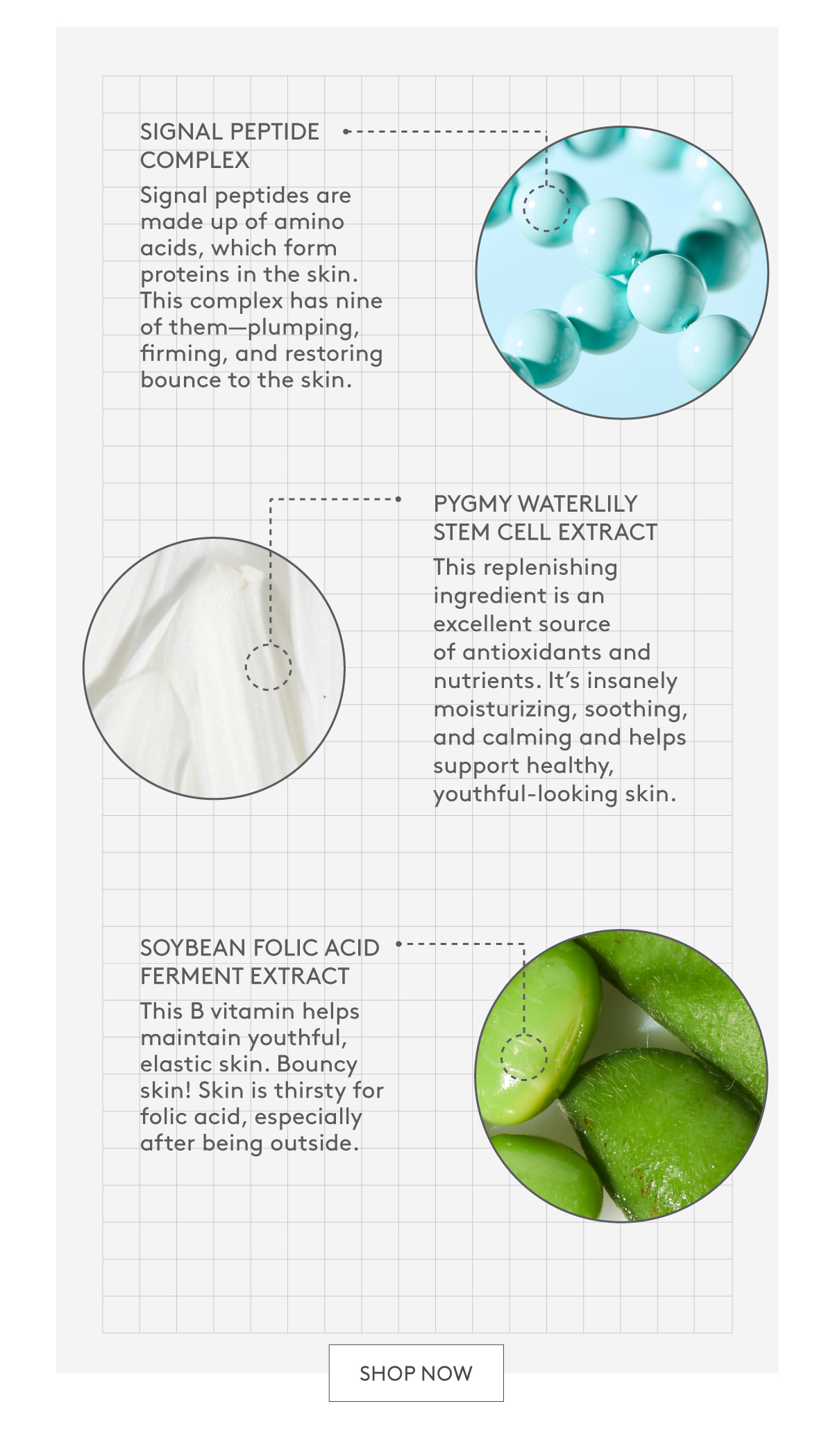 Shop Protini Polypeptide Cream