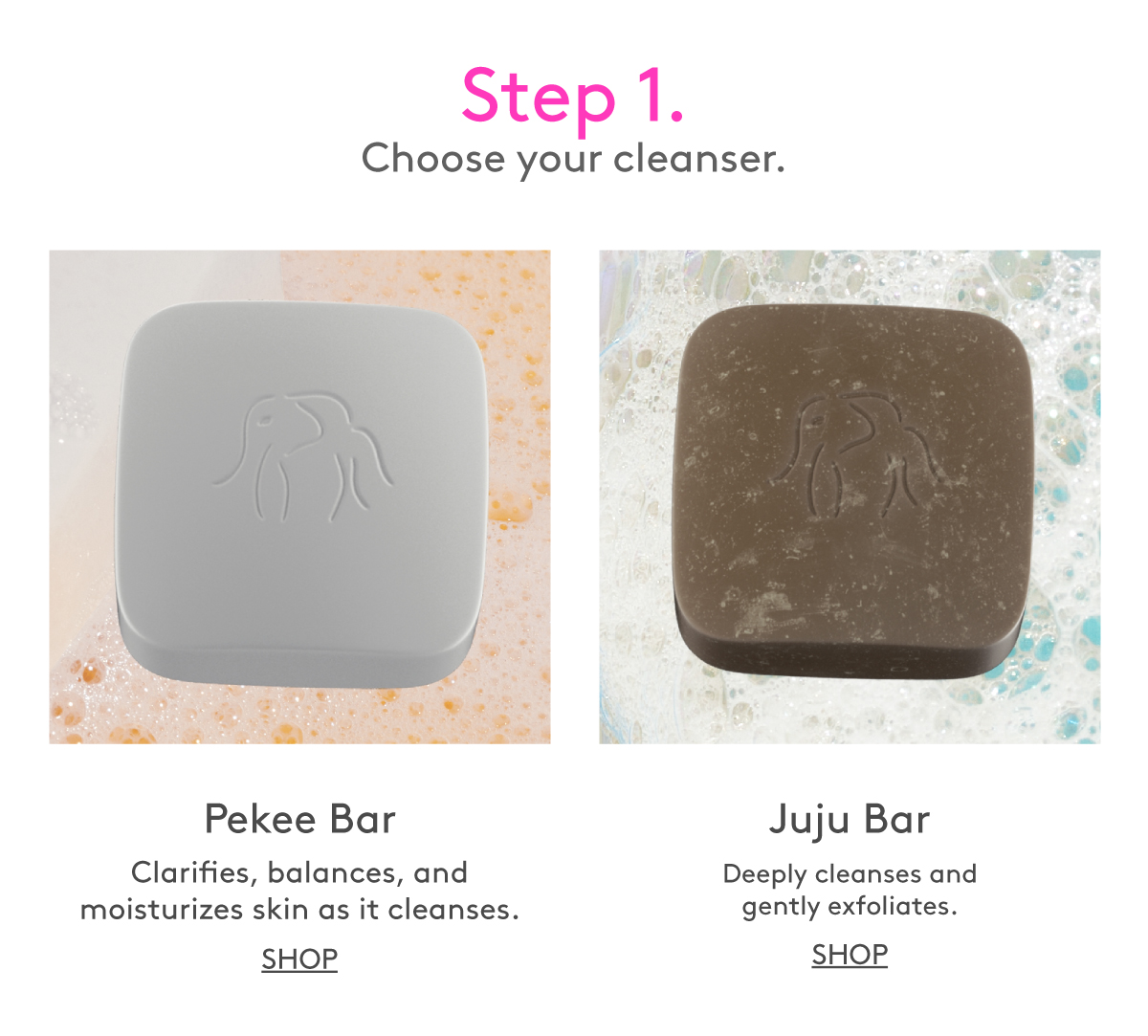 Choose Your Cleanser