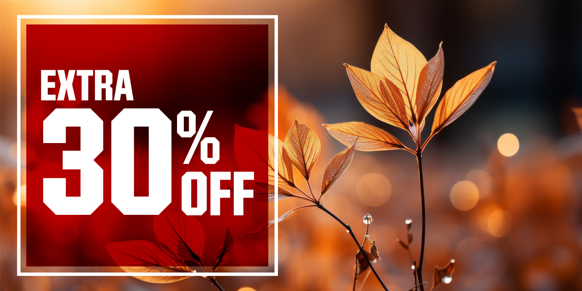 &nbsp;Extra 30% off.