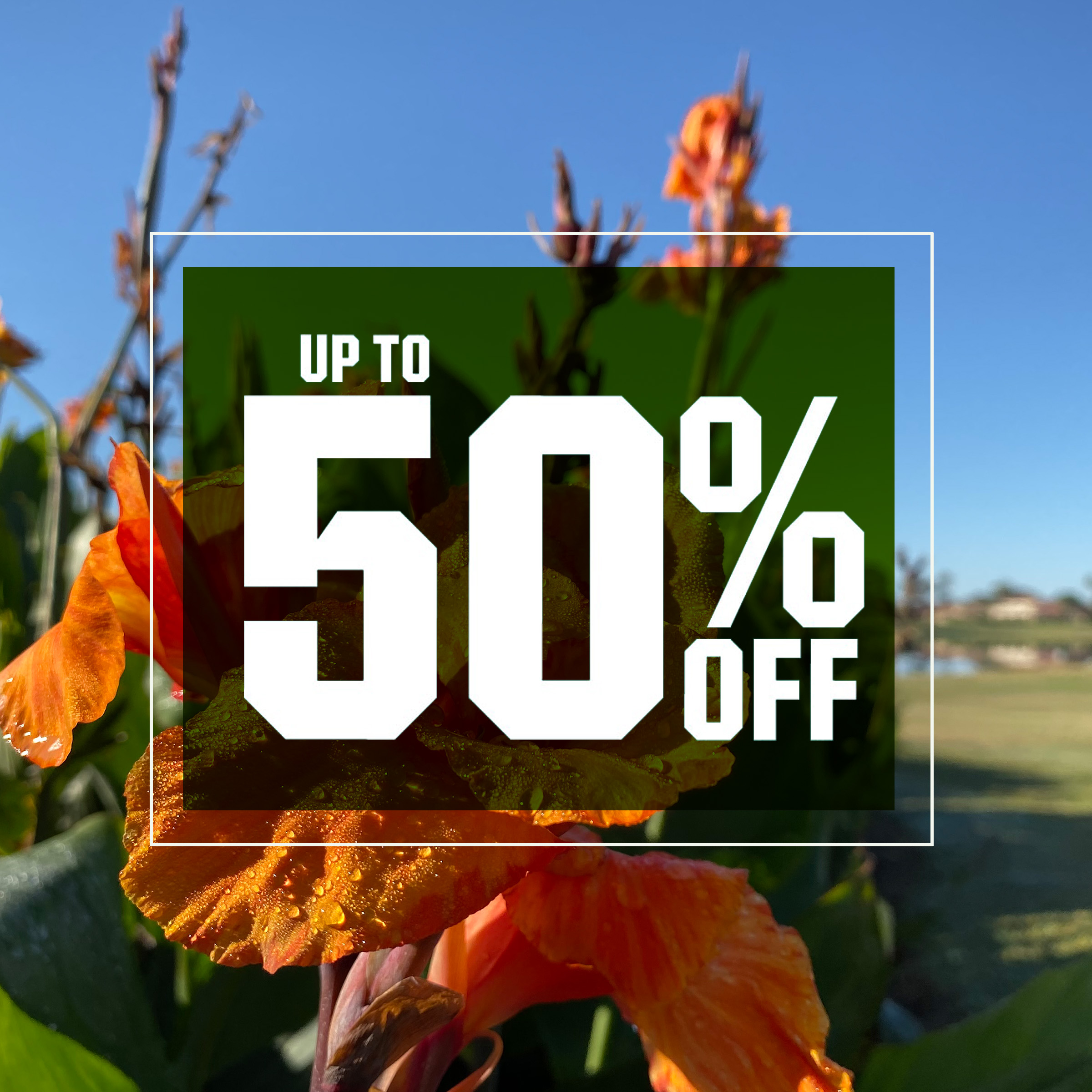 &nbsp;Up to 50% off.