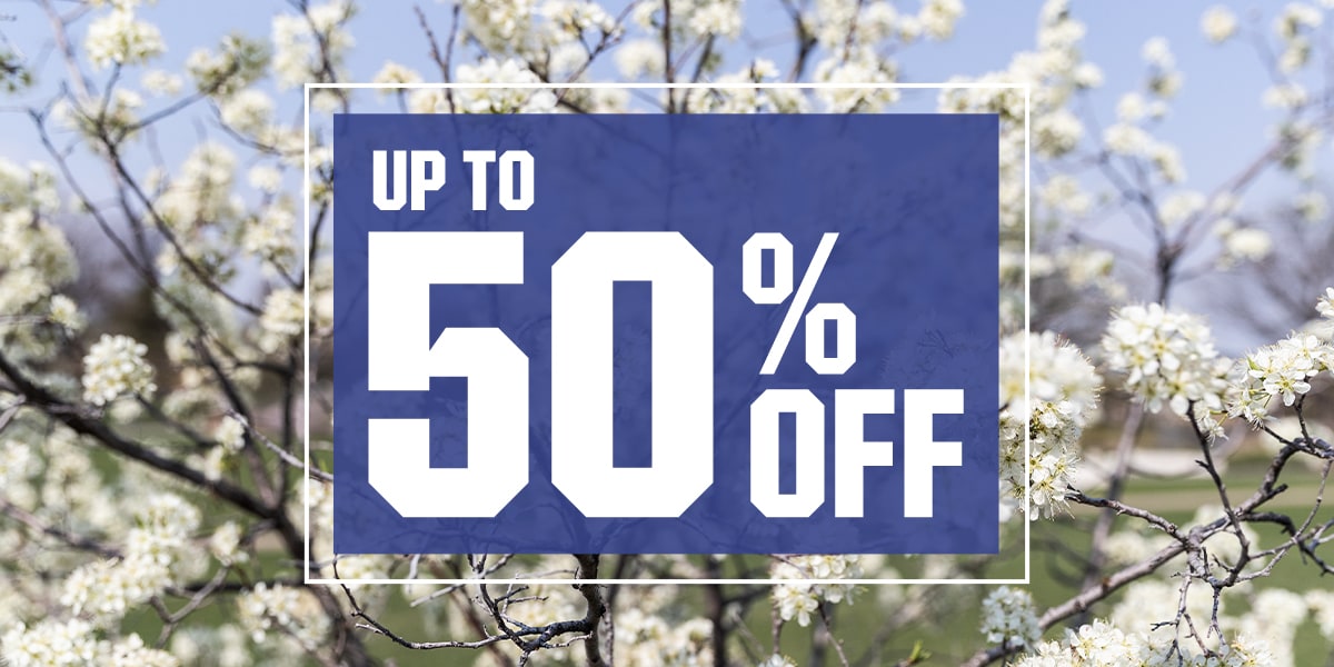 &nbsp;Up to 50% Off 