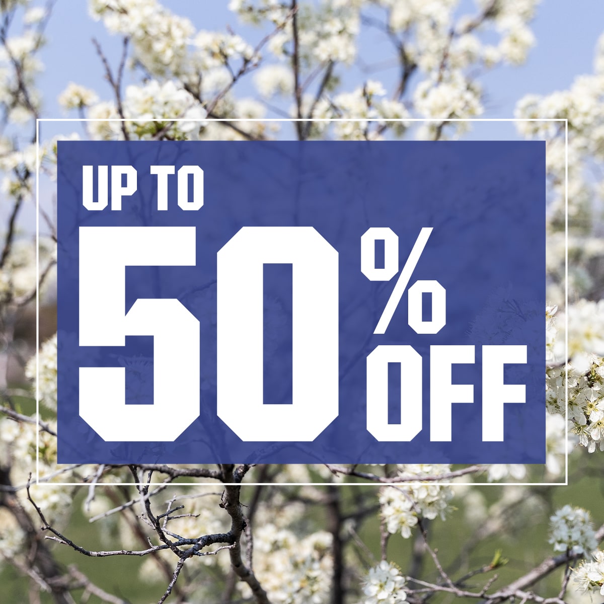 &nbsp;Up to 50% Off 