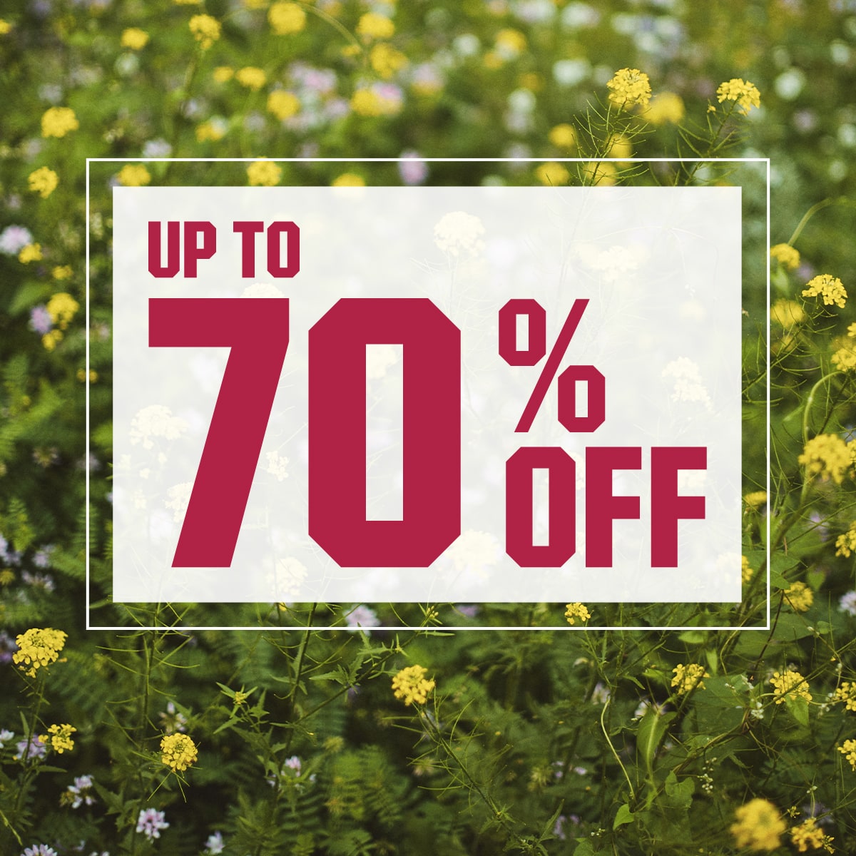 &nbsp;Up to 70% Off.