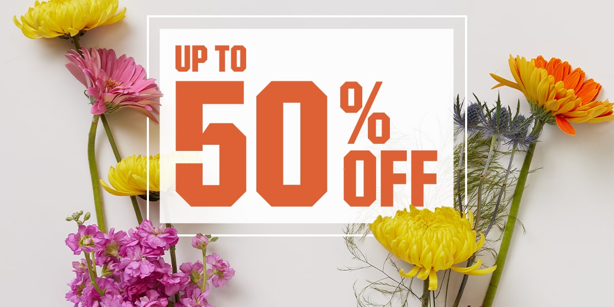 &nbsp;Up to 50% Off 