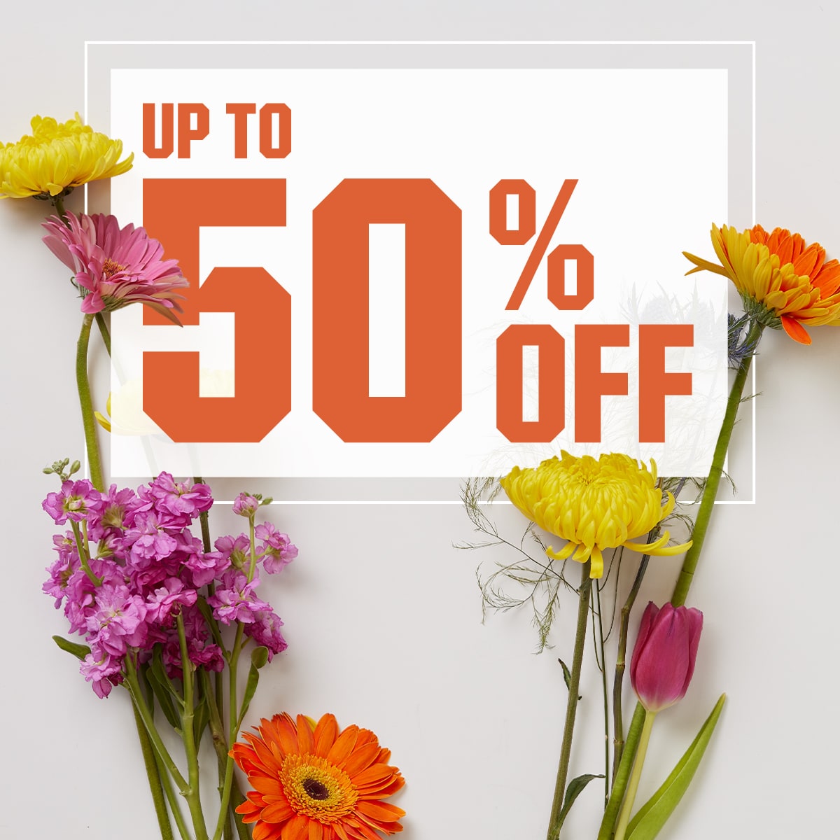 &nbsp;Up to 50% Off 