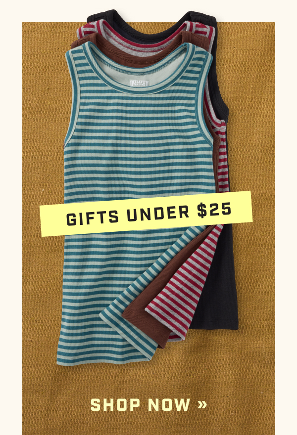 Gifts Under $25 - Shop Now