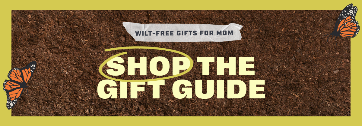 Wilt-Free Gifts For Mom - Shop the Gift Guide