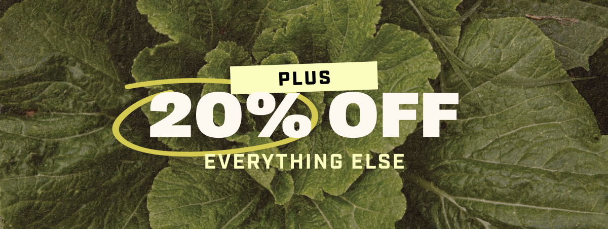 Plus 20% Off Everything Else