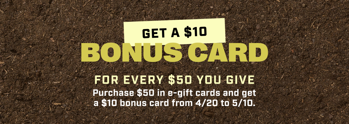 Get a $10 Bonus Card for Every $50 You Give