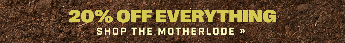 20% OFF Everything - Shop the Motherlode