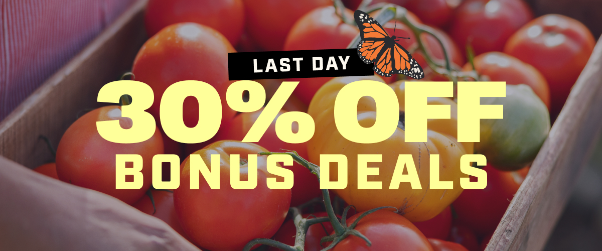 LAST DAY - 30% OFF BONUS DEALS