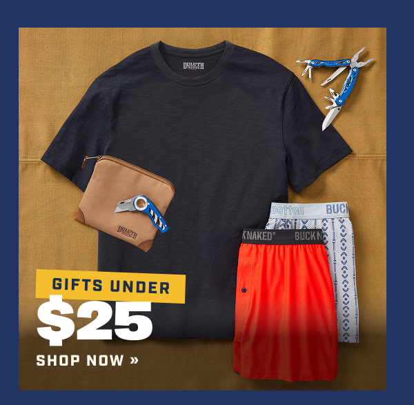 Gifts Under $25 - Shop Now
