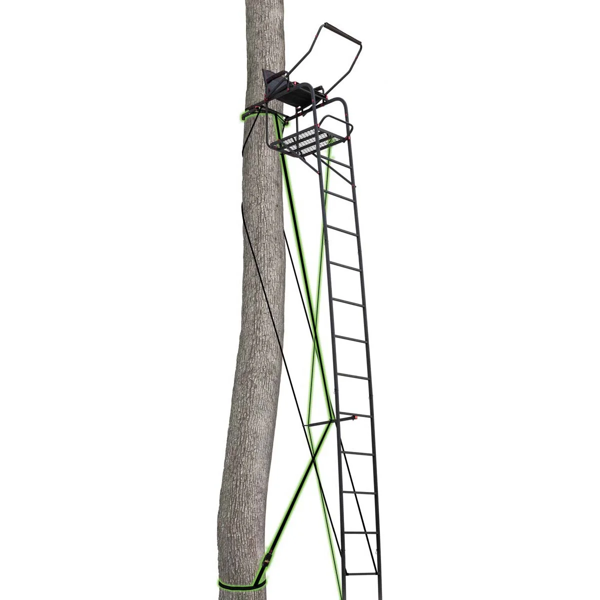 Ol' Man or Primal 22 Foot Ladder Stand
