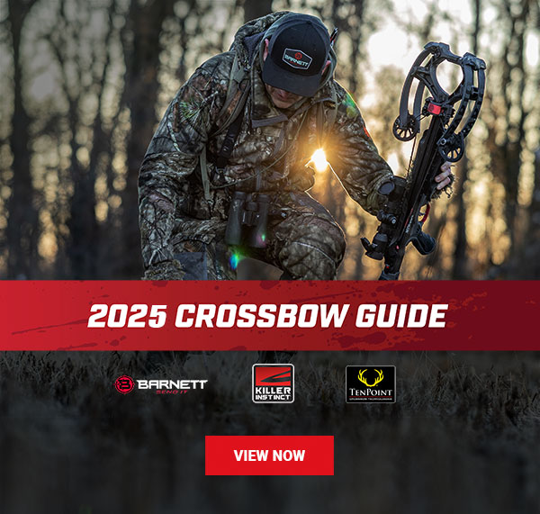  "crossbow