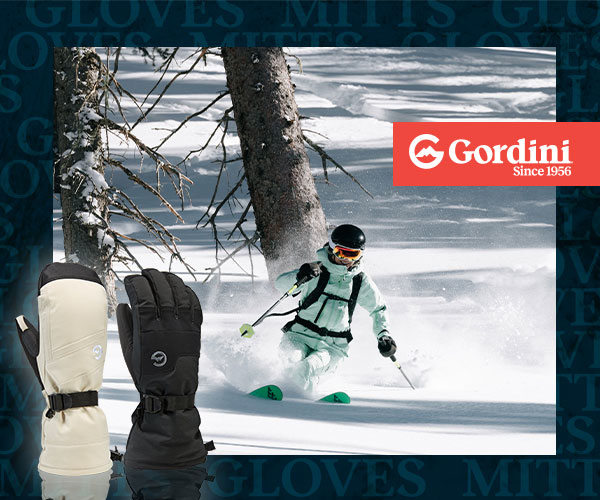 gordini image