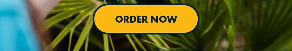 Order Now