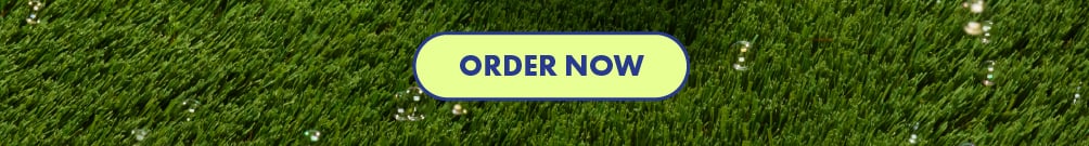 CTA Button Reads: ORDER NOW | Click to open the dutch bros in-app menu