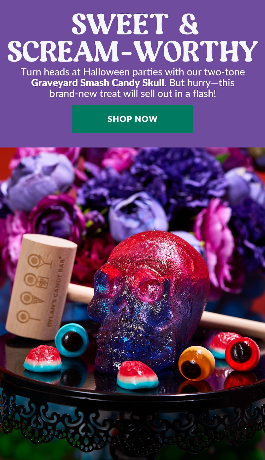 shop now