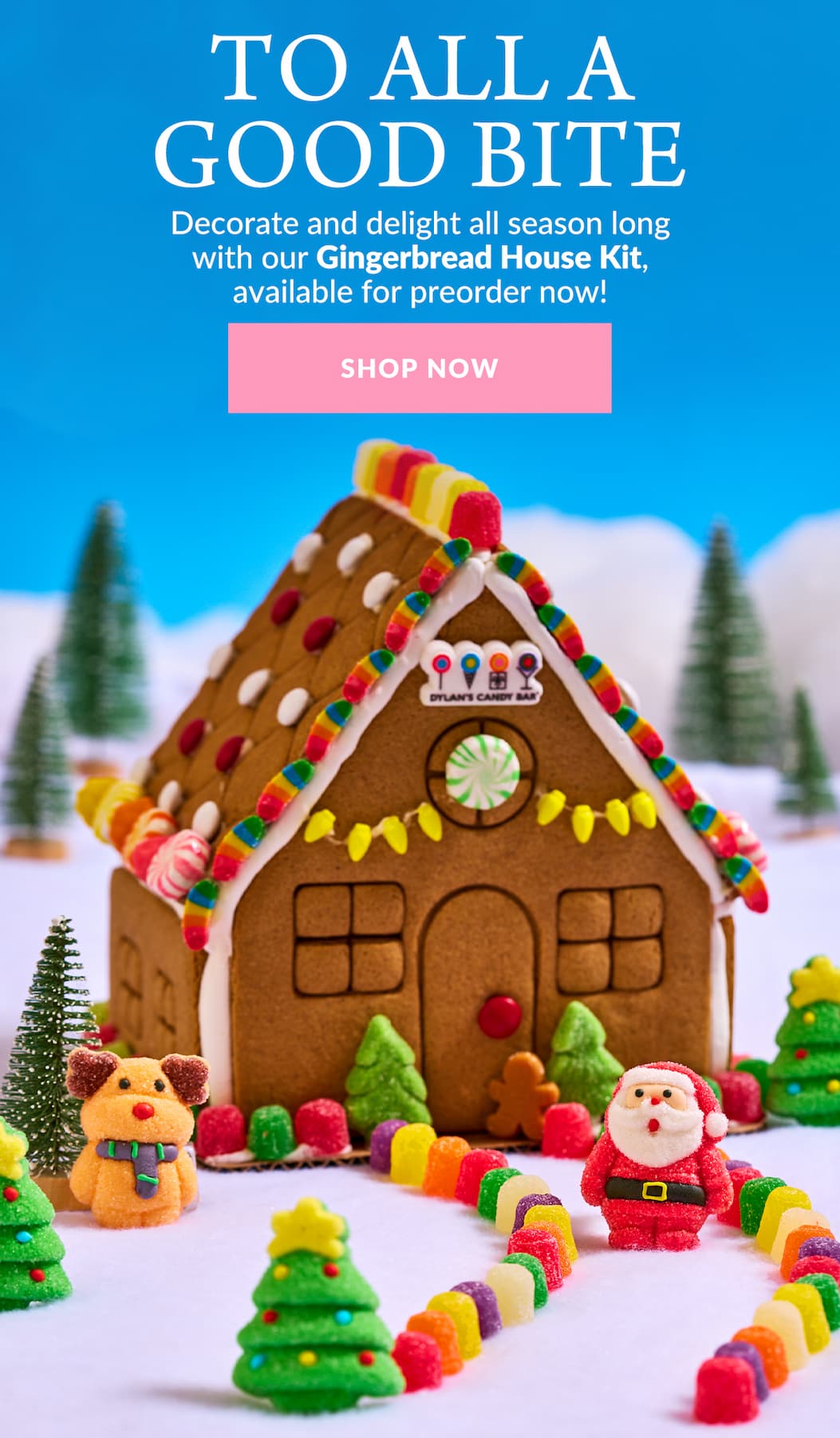 shop now