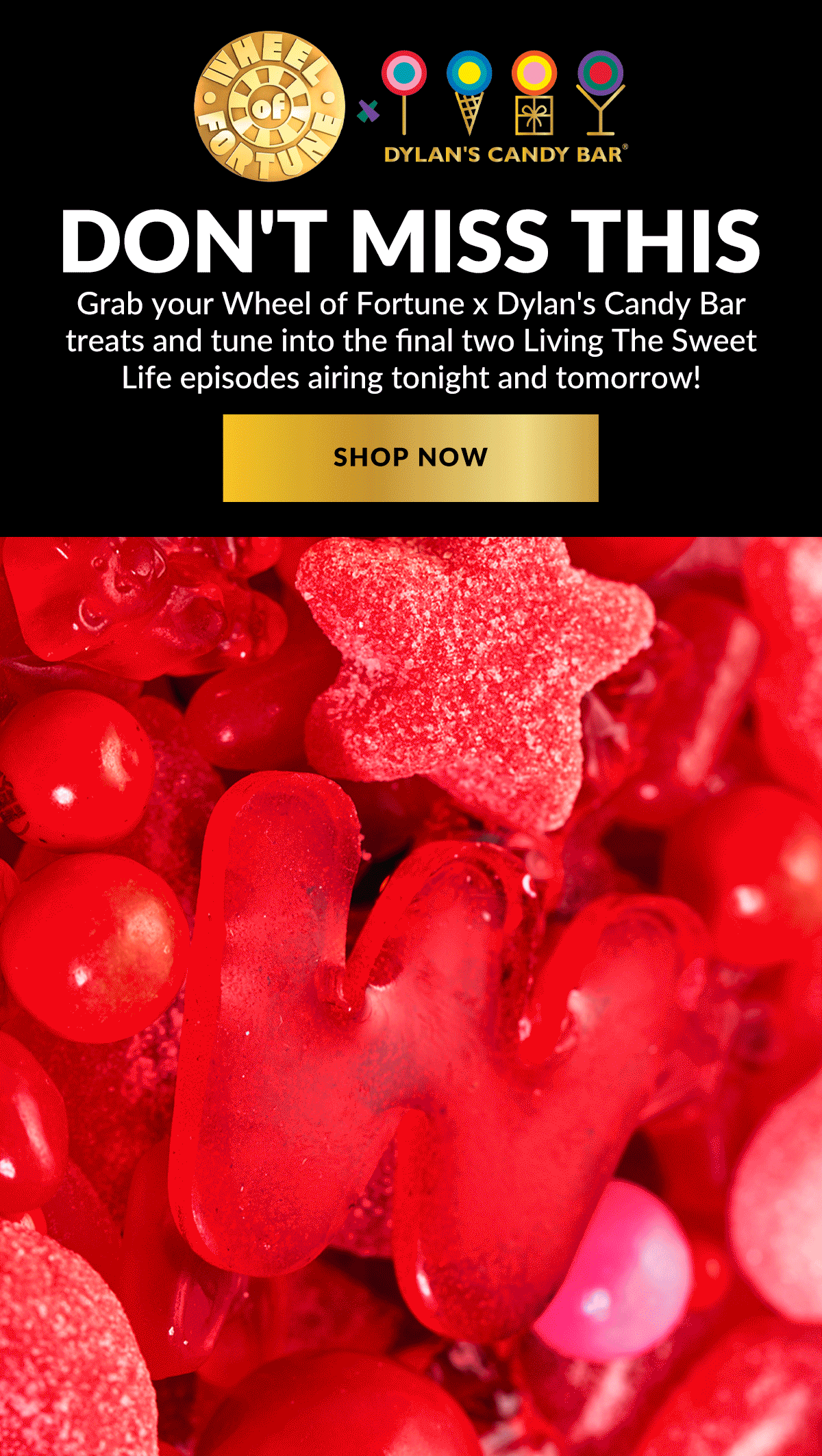 shop now