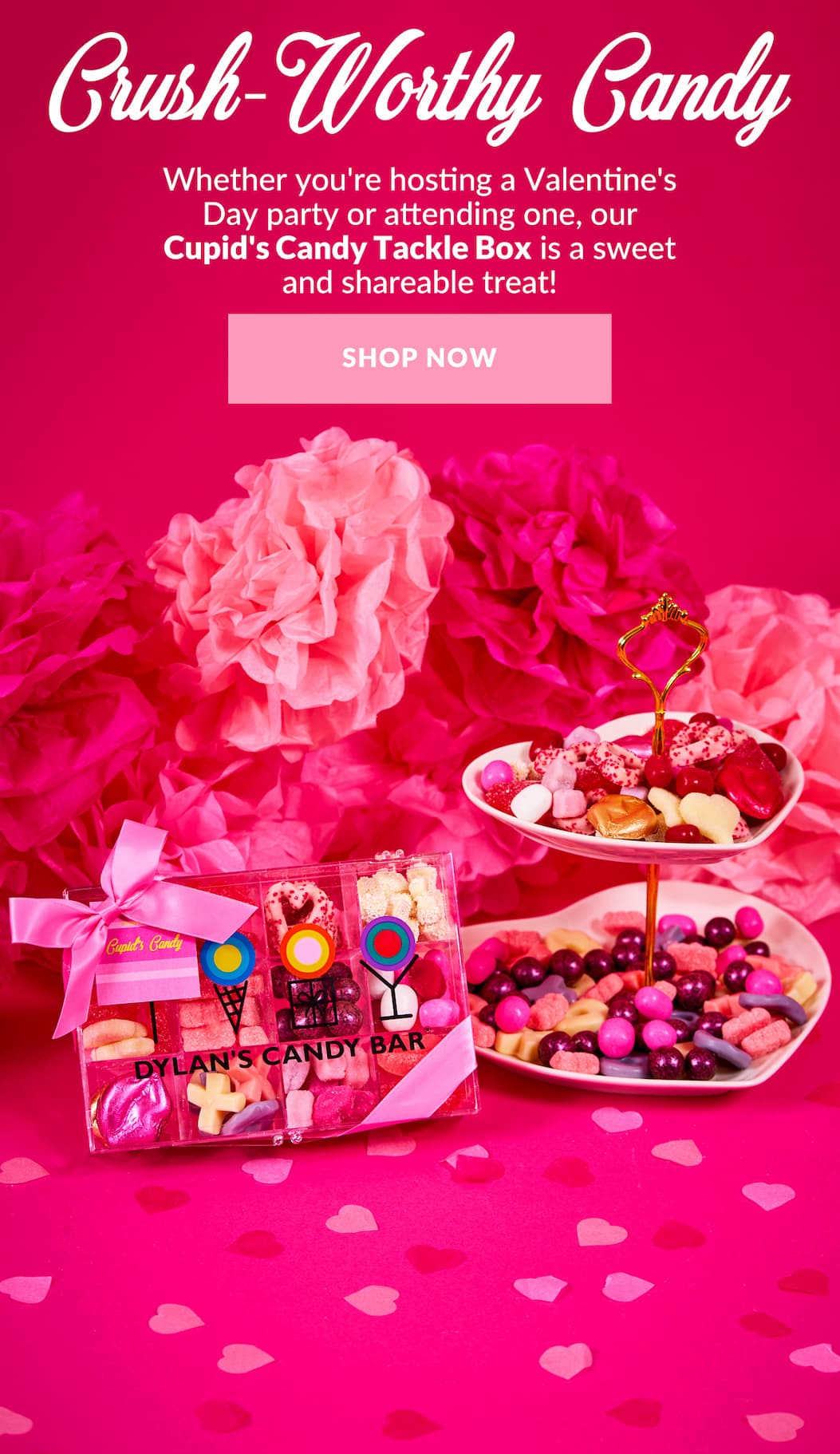 shop now