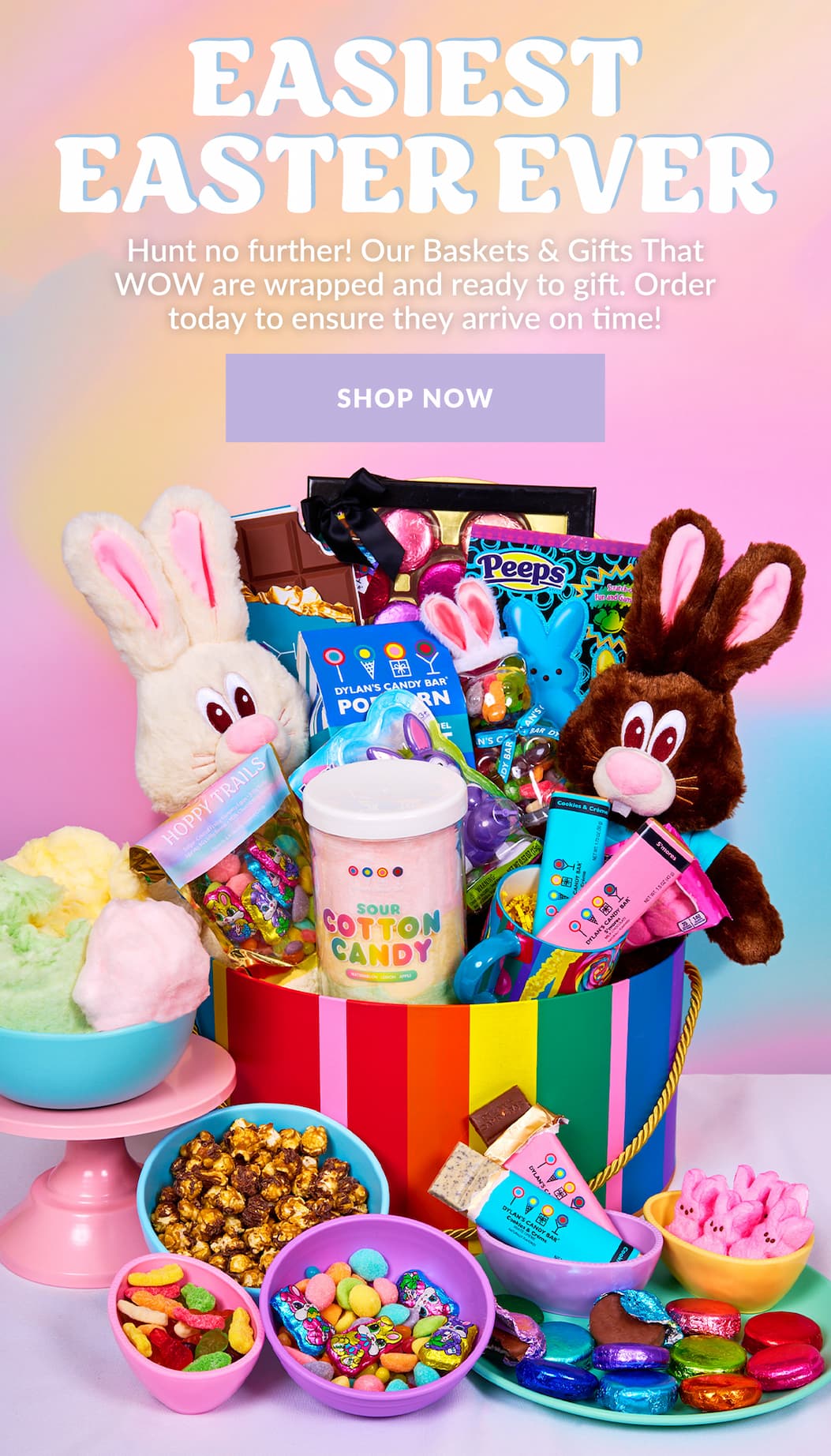 Our Premade Easter Baskets