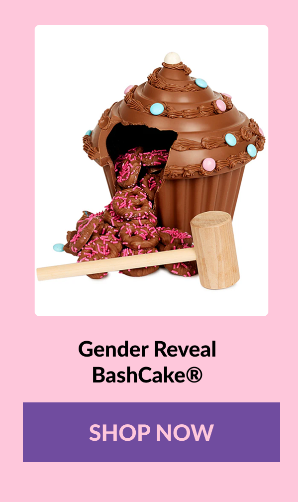 Gender Reveal BashCake® SHOP NOW