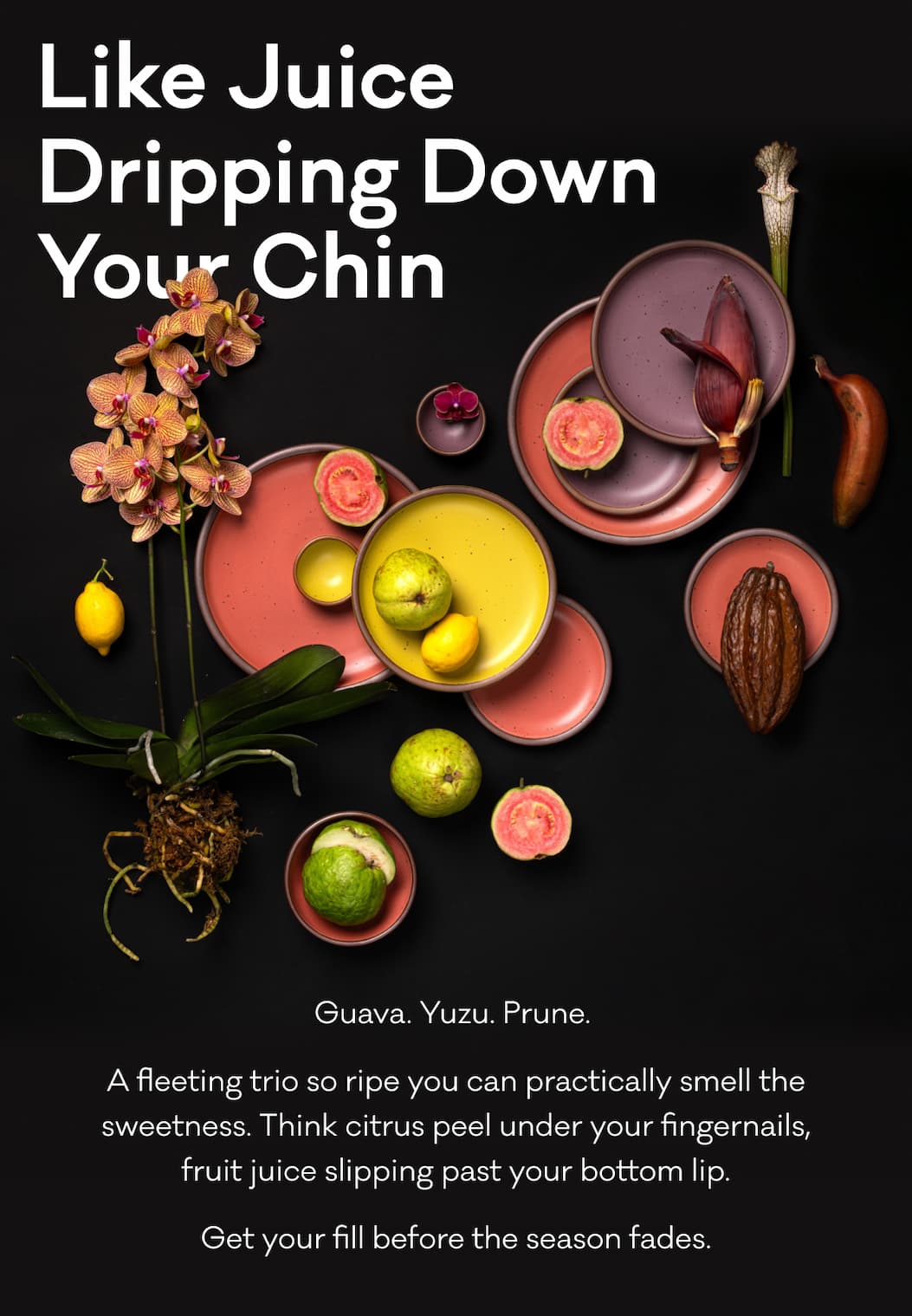 Like Juice Dripping Down Your Chin - Guava. Yuzu. Prune.  A fleeting trio so ripe you can practically smell the sweetness. Think citrus peel under your fingernails, fruit juice slipping past your bottom lip. Get your fill before the season fades.