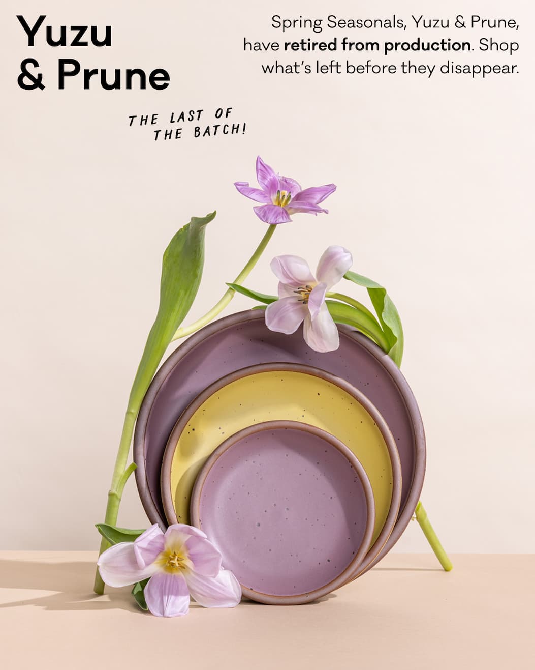 Yuzu & Prune - The last of the batch! Spring seasonals, Yuzu & prune, have retired from production. Shop what's left before they disappear. 