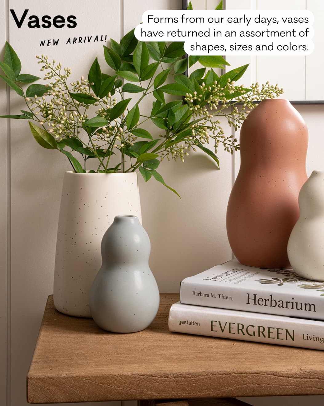 Vases - New arrival! Forms from our early days, vases have returned in an assortment of shapes, sizes and colors.