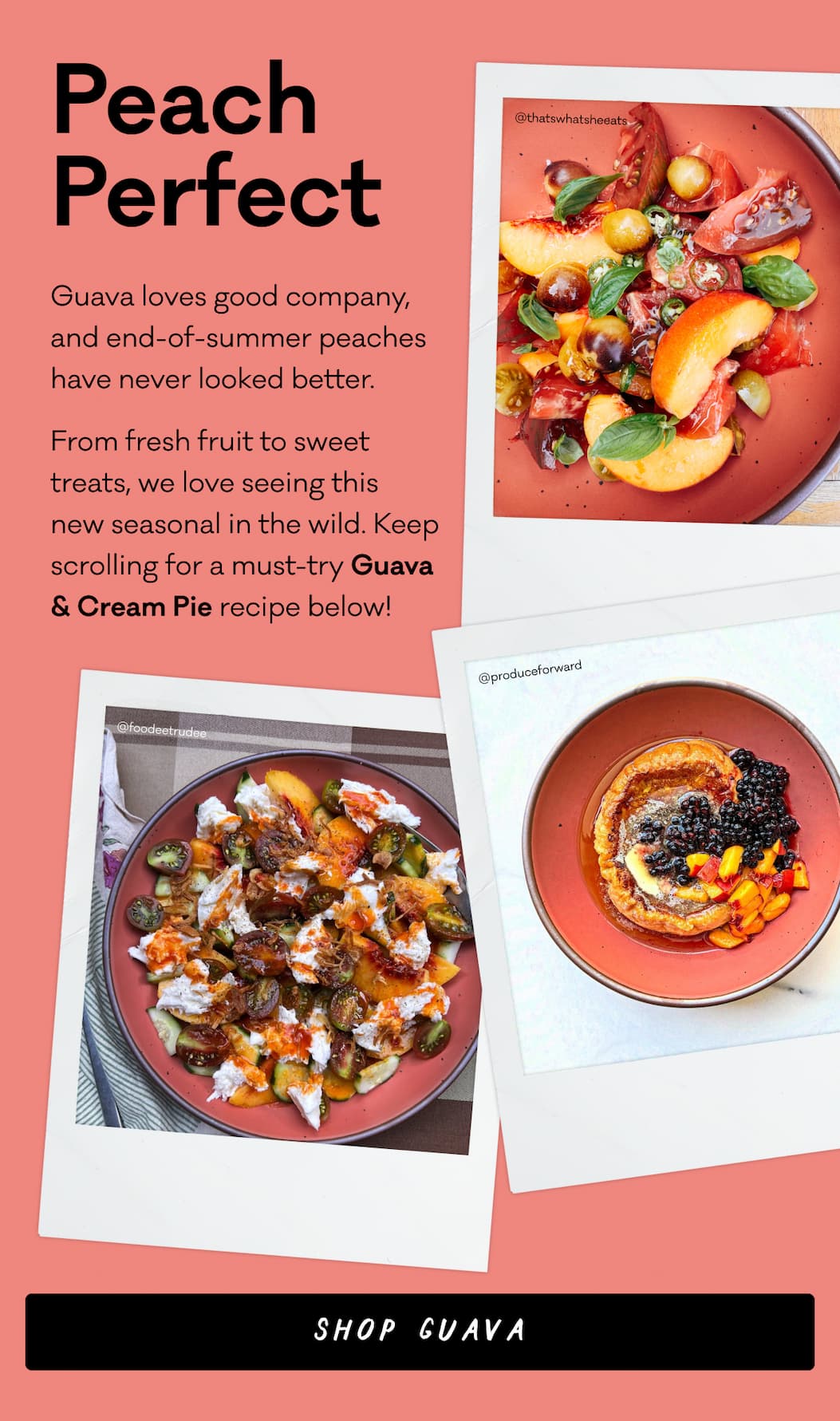 Peach Perfect - Guava loves good company, and end-of-summer peaches  have never looked better. From fresh fruit to sweet treats, we love seeing this  new seasonal in the wild. Keep scrolling for a must-try Guava & Cream Pie recipe below! Shop Guava