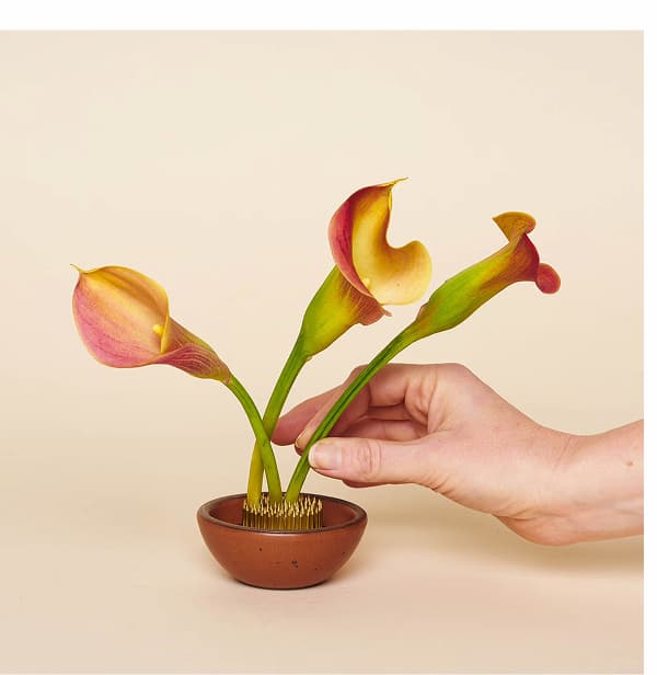 Flower Frog