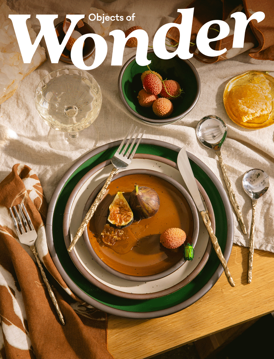 Objects of Wonder
