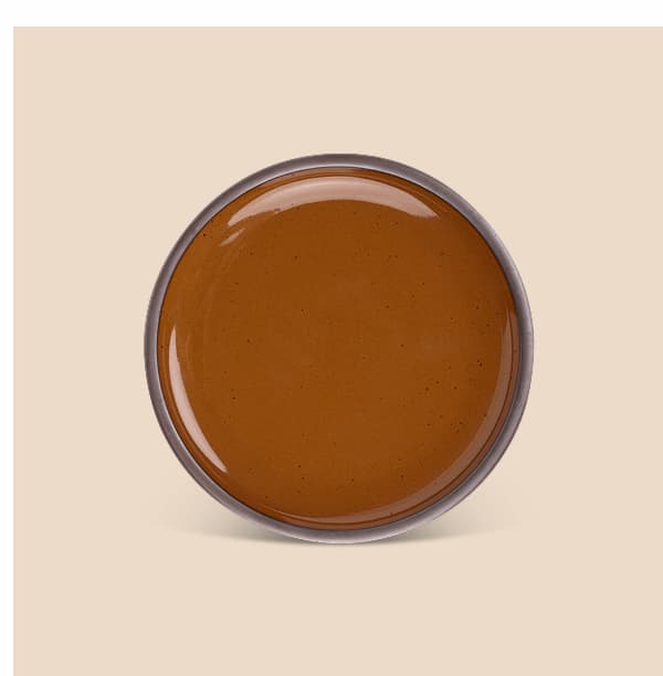 Dinner Plate in Sepia