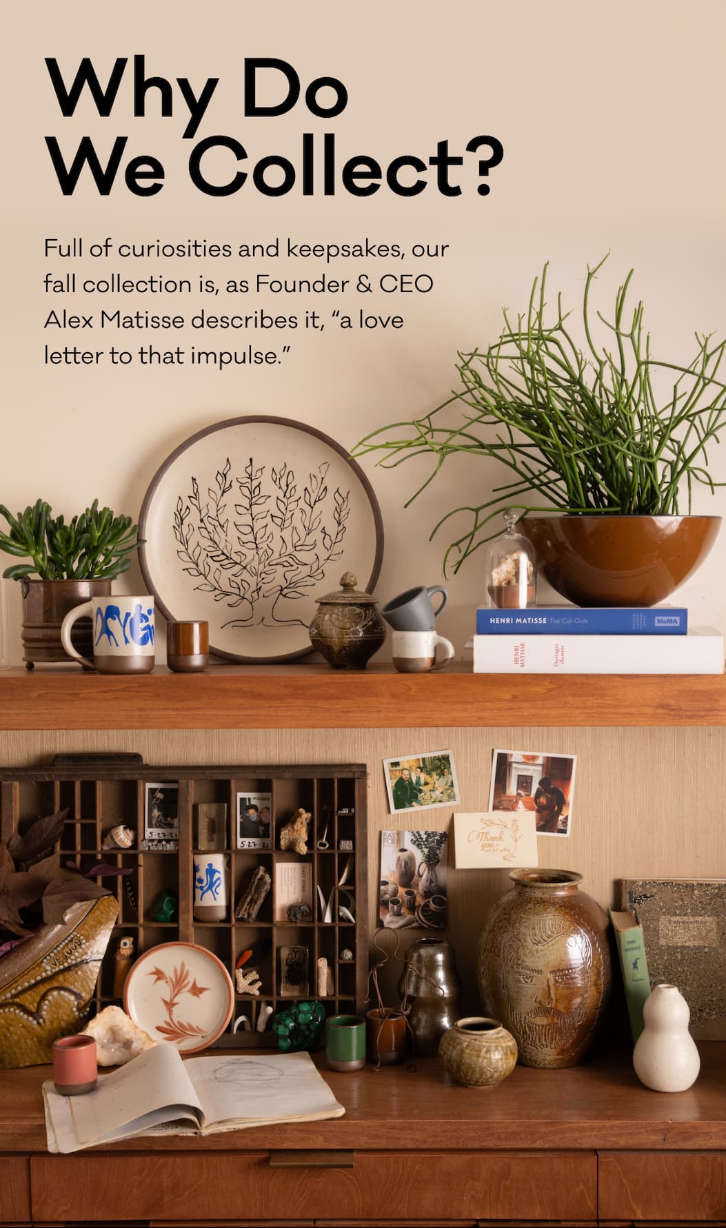 Why Do We Collect? Full of curiosities and keepsakes, our fall collection is, as Founder & CEO Alex Matisse describes it, “a love letter to that impulse.”