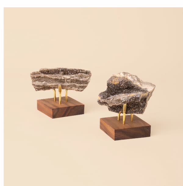 Brilliant Petrified Wood