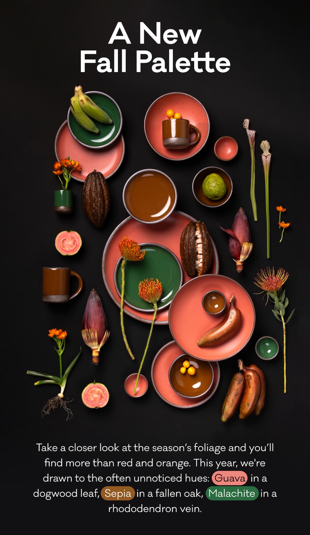 A New Fall Palette. Take a closer look at the season’s foliage and you’ll find more than red and orange. This year, we're drawn to the often unnoticed hues:  Guava  in a dogwood leaf,  Sepia  in a fallen oak,  Malachite  in a rhododendron vein.