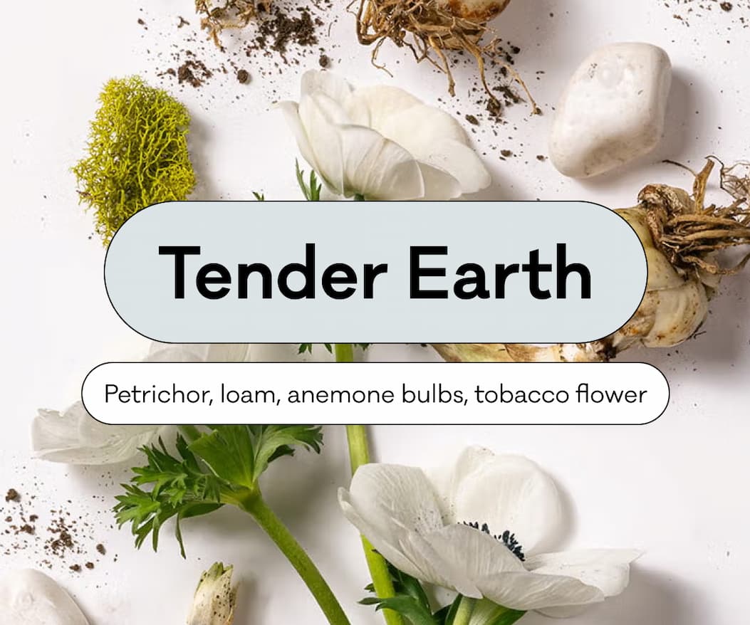 Tender Earth - Petrichor, loam, anemone bulbs, tobacco flower