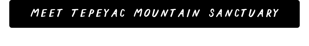 Meet Tepeyac Mountain Sanctuary