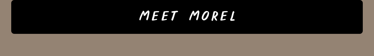 Meet Morel
