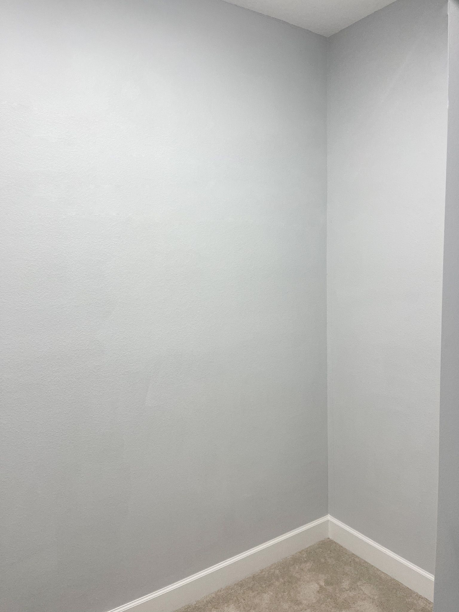 Empty closet before EasyCloset install.