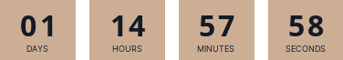 countdownmail.com