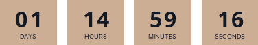 countdownmail.com