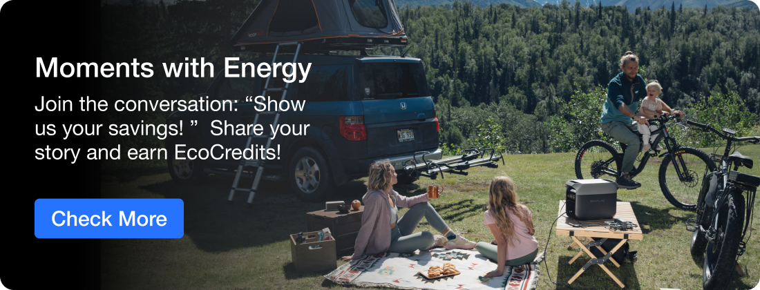 Moments with Energy Join the conversation: “Show us your savings! ” Share your story and earn EcoCredits! 