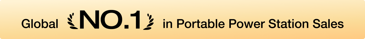 Global No. 1 in Portable Power Station Sales	