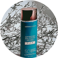 Sunforgettable Total Protection Face Shield Flex SPF 50