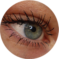 Spectra Lash